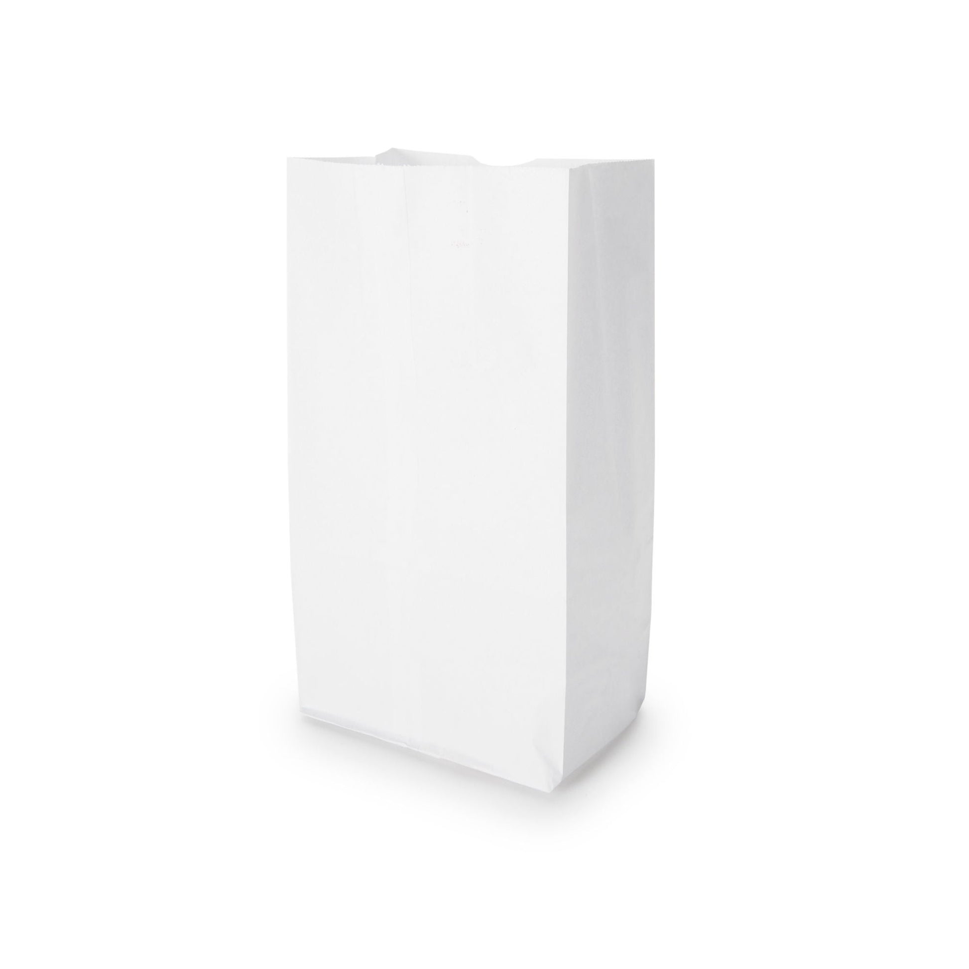 White Paper Bag, x 11.06 Inch