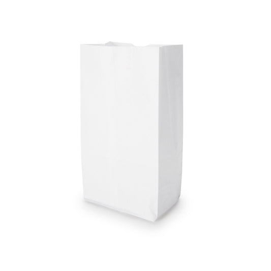 White Paper Bag, x 11.06 Inch