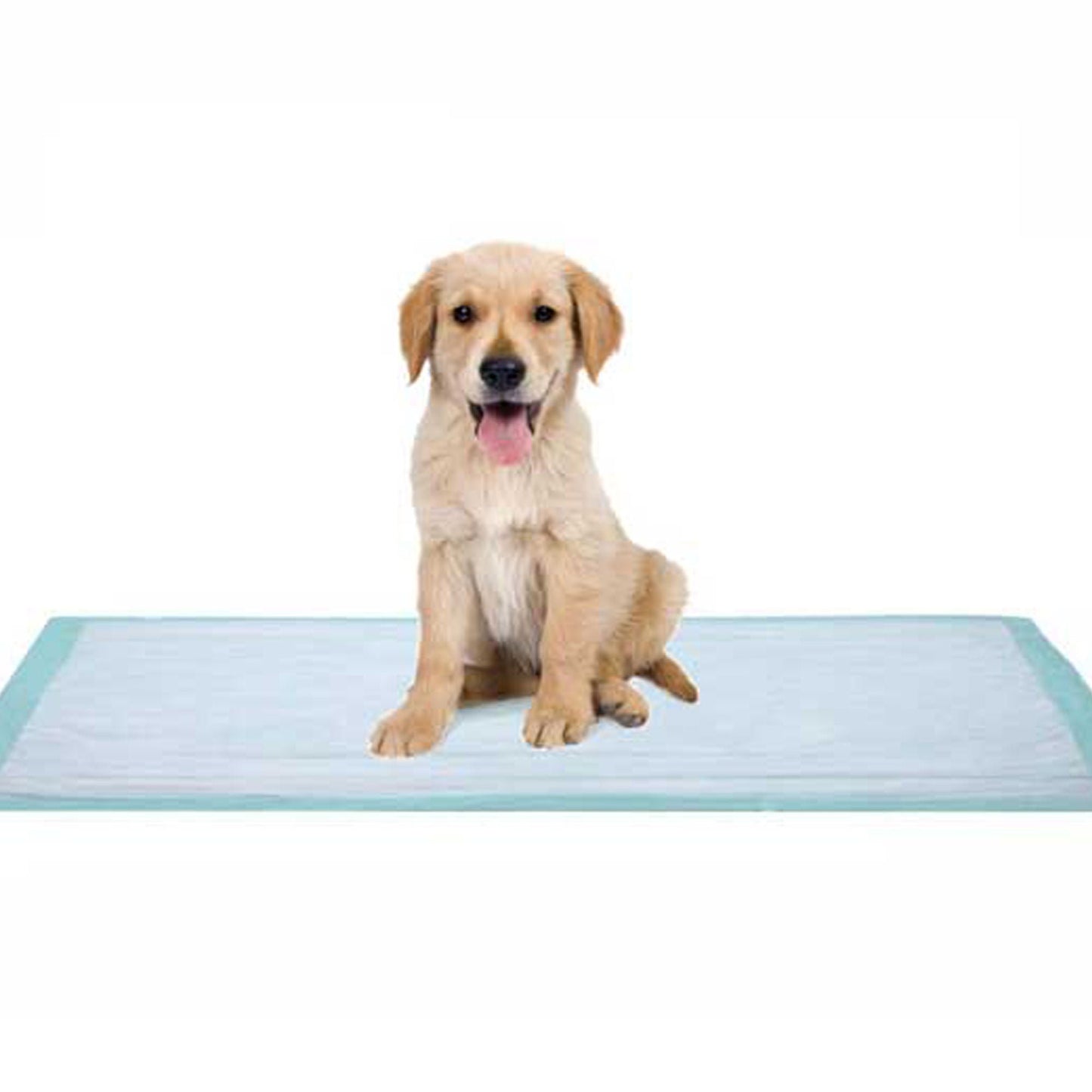 Dukal Fluff Underpad