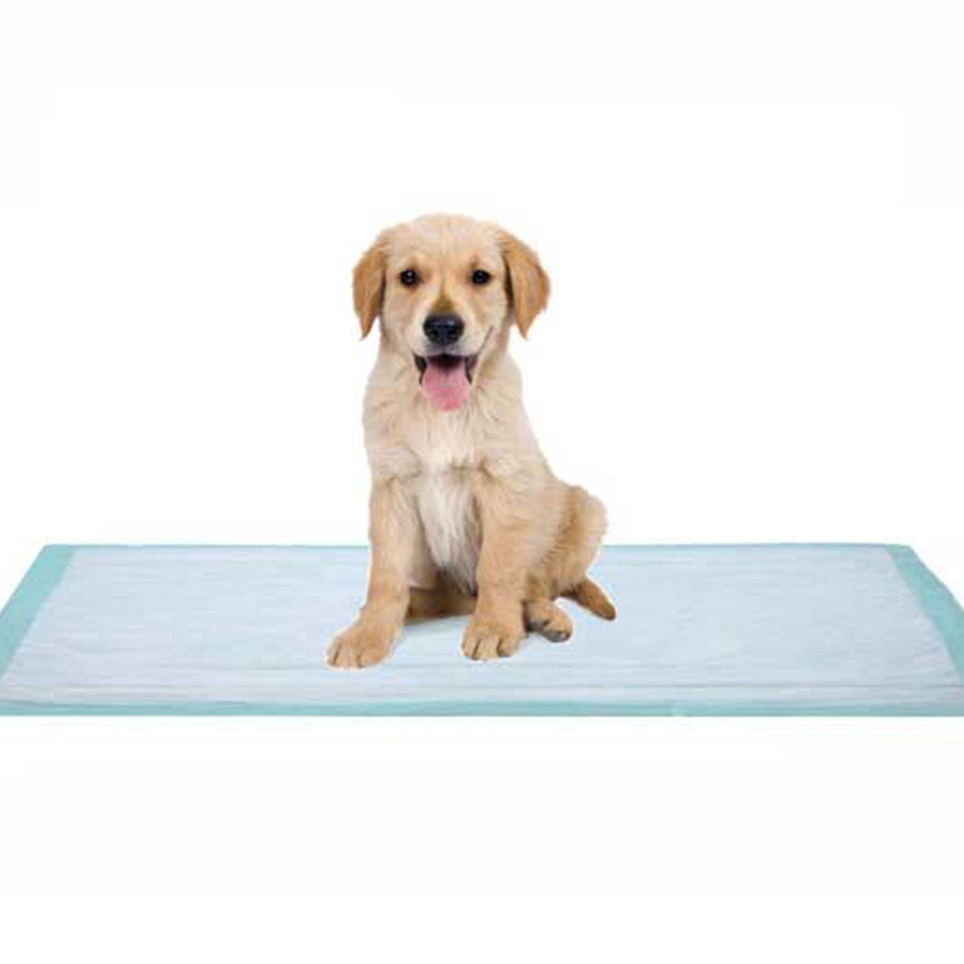 Dukal Fluff Underpad