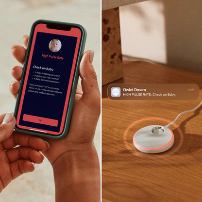 Owlet Dream Duo Baby Monitoring System Dusty Rose