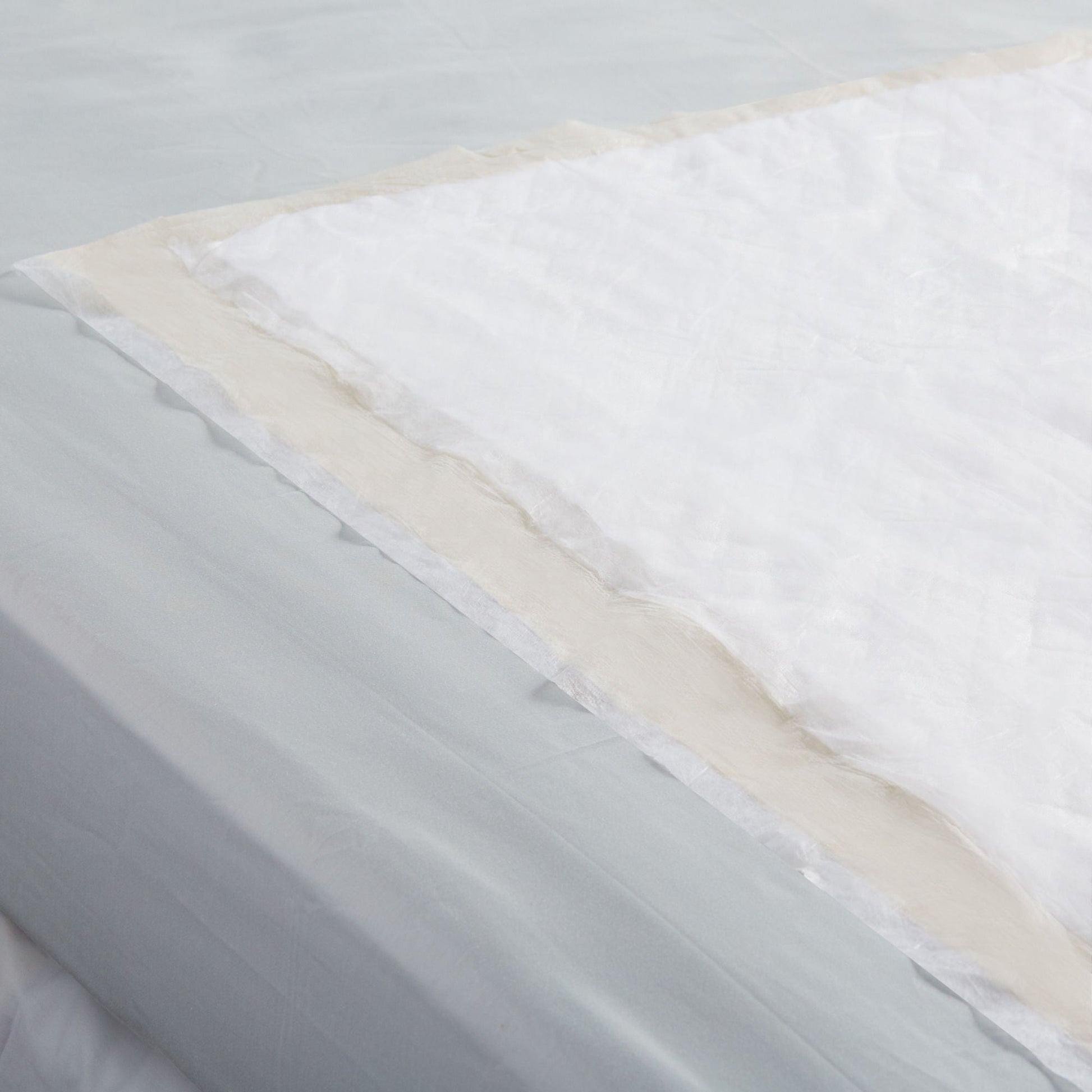 Tranquility® Essential Disposable Underpad