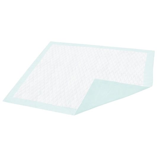 Dignity® Light Absorbency Underpad