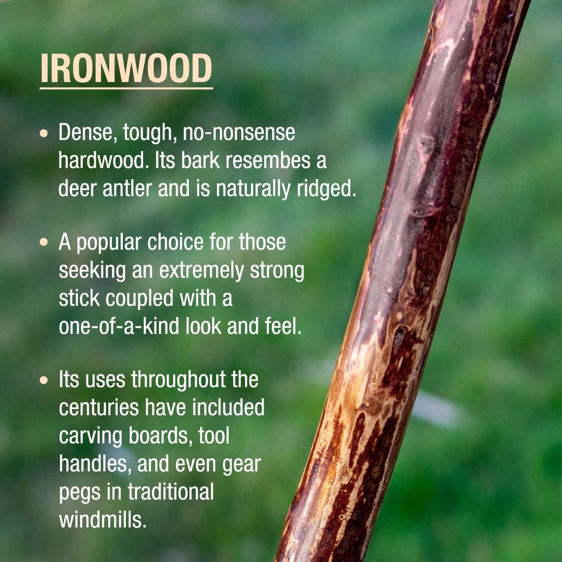 Brazos™ Ironwood Rustic Walking Stick, 48-Inch Height