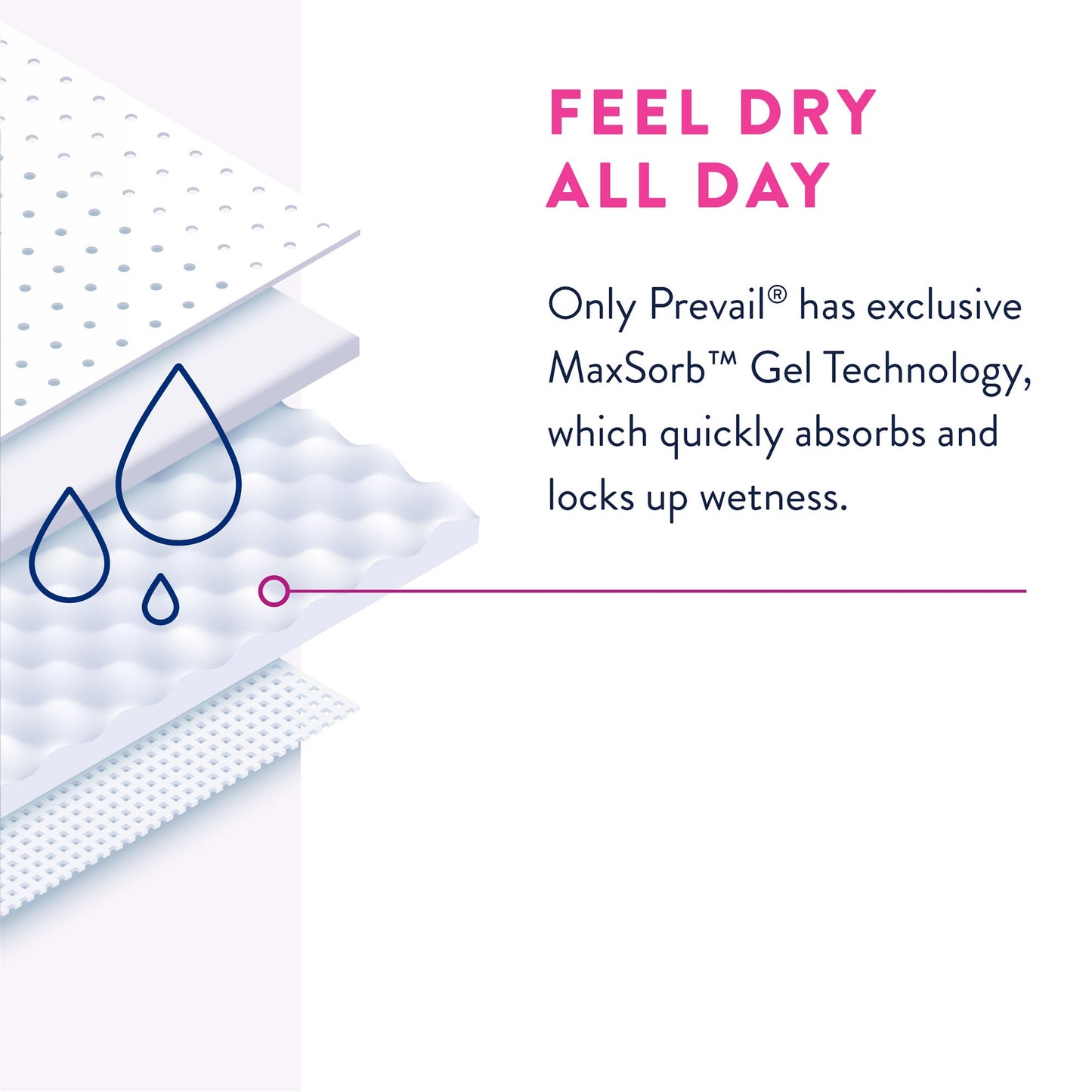Prevail® Daily Underwear Maximum Absorbent Underwear