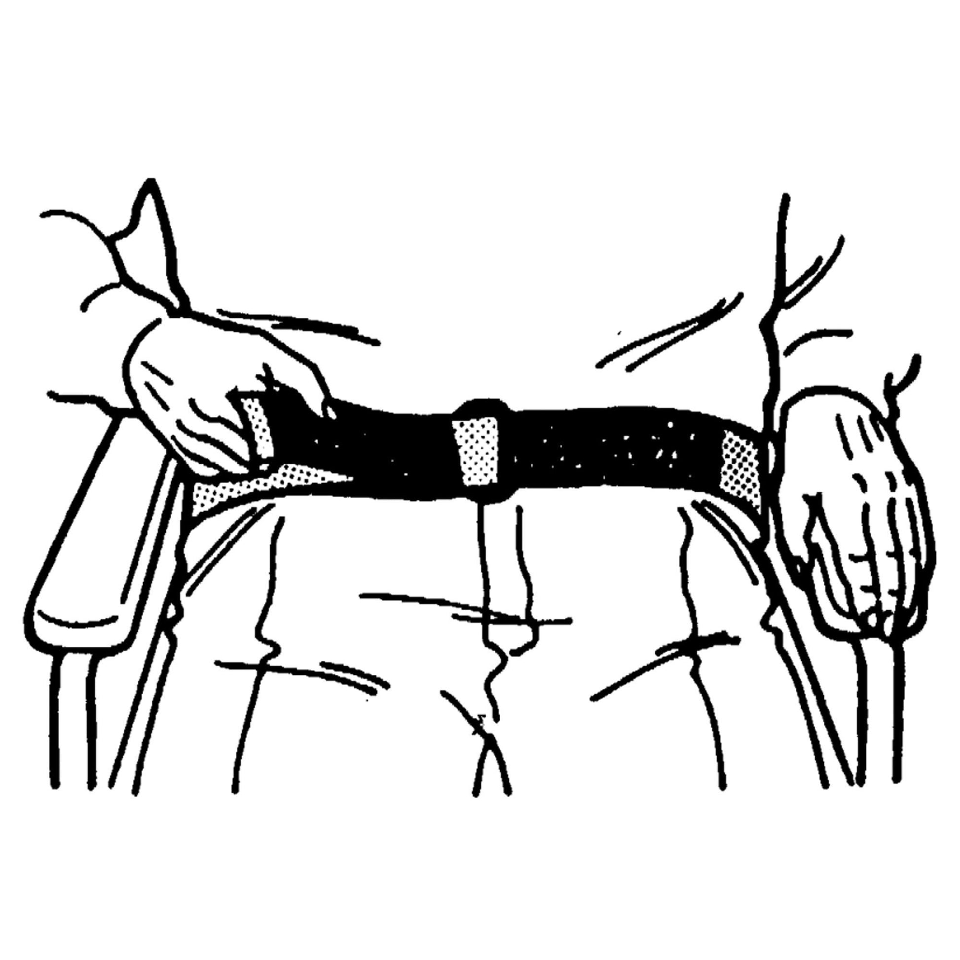 SkiL-Care™ Patient Release Wheelchair Safety Belt, Blue