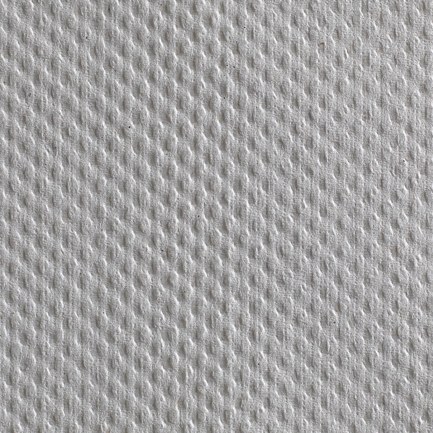 Pacific Blue Basic™ Paper Towel, 240 , 10 Packs