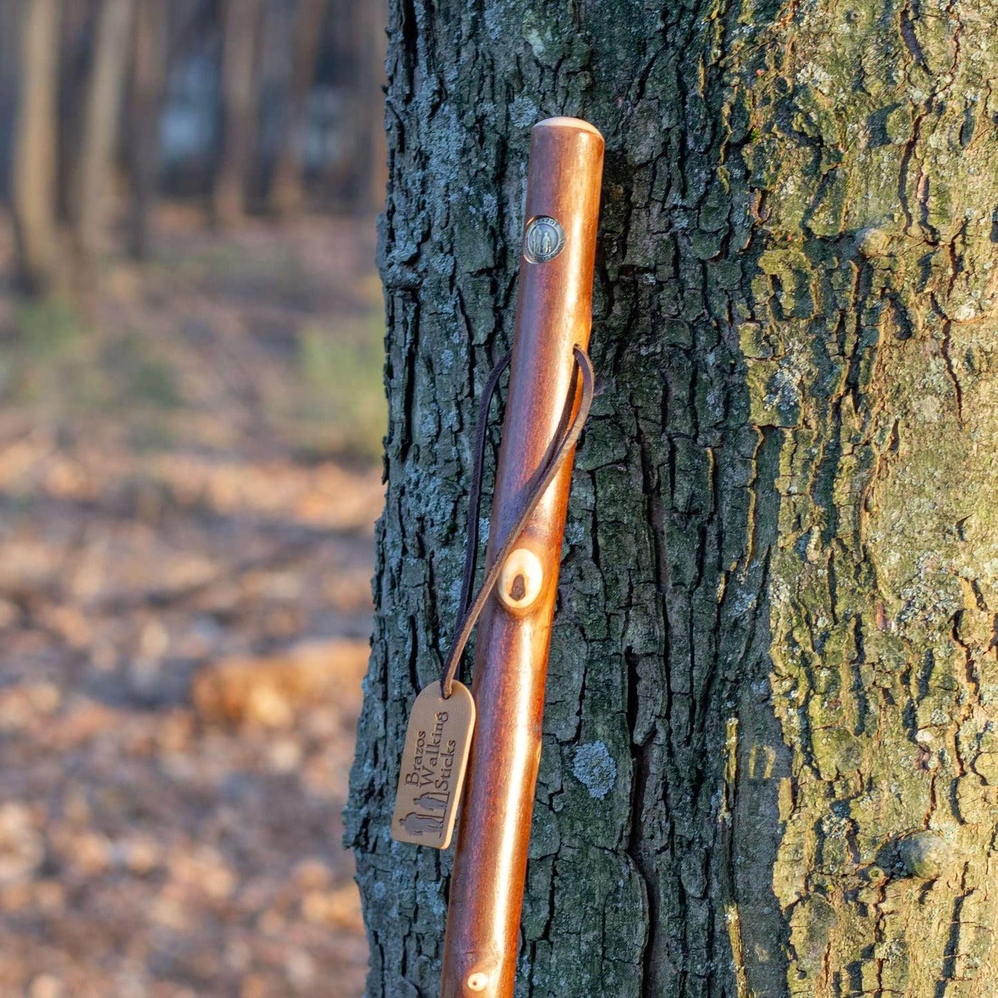 Brazos™ Maple Rustic Walking Stick, 55-Inch Height