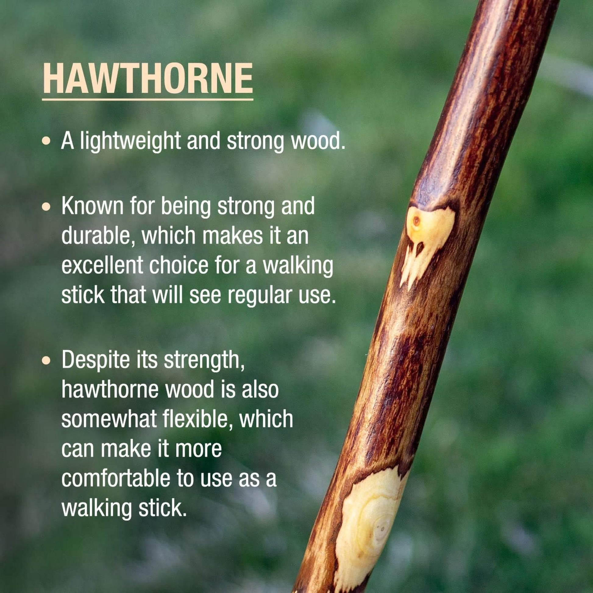 Brazos™ Hawthorn Rustic Walking Stick, 58-Inch Height