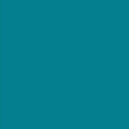 3M Littmann Lightweight II S.E. Stethoscope, Caribbean Blue, 28 Inch