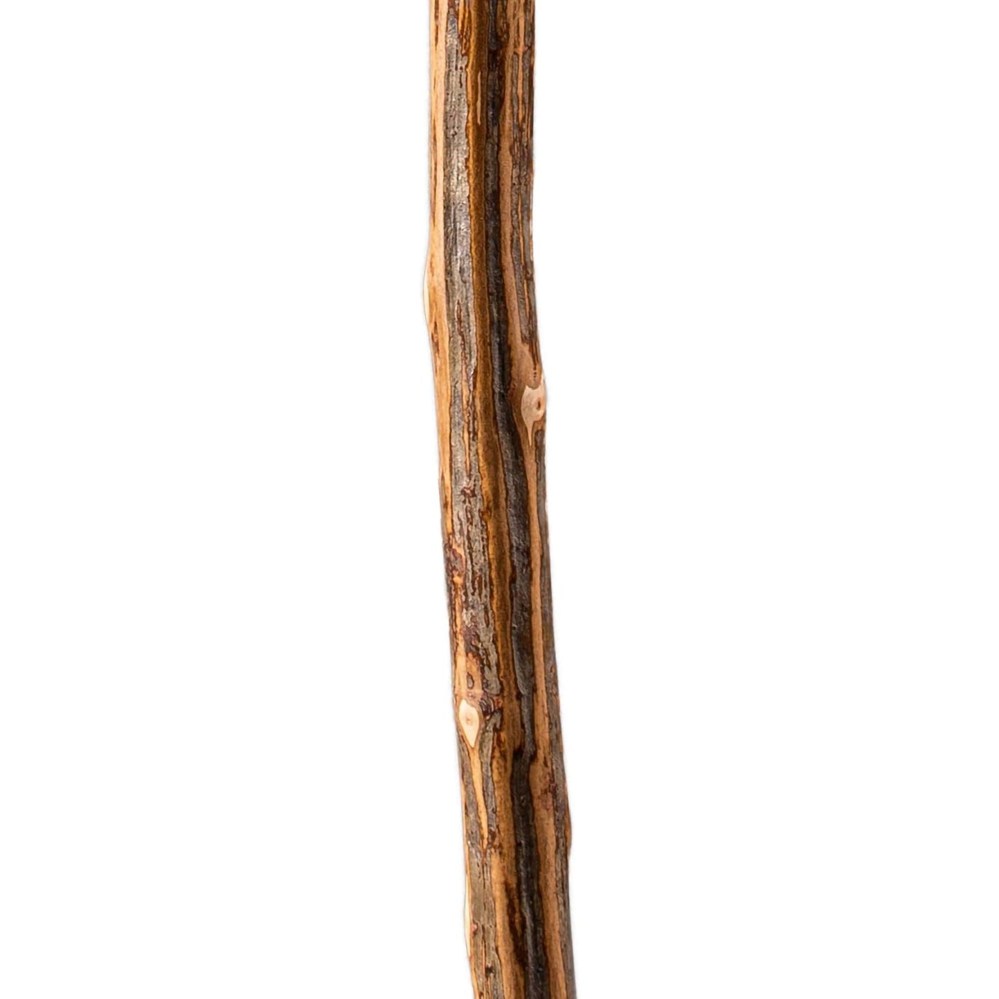 Brazos™ Ironwood Rustic Walking Stick, 58-Inch Height