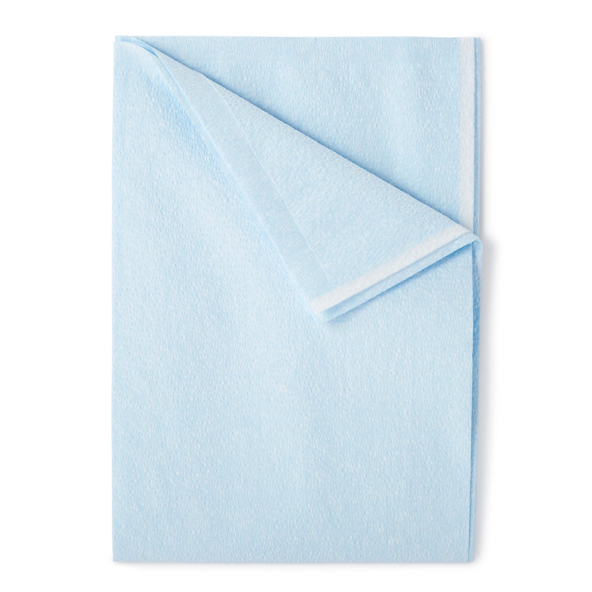 Everyday® Blue Tissue / Poly Pillowcase