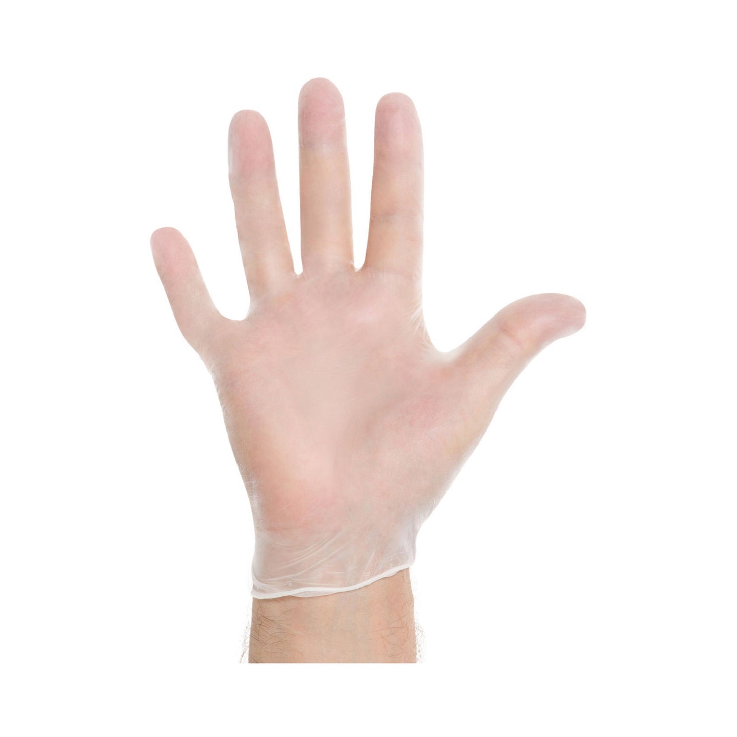 Halyard™ Vinyl Exam Gloves, Clear - view 4