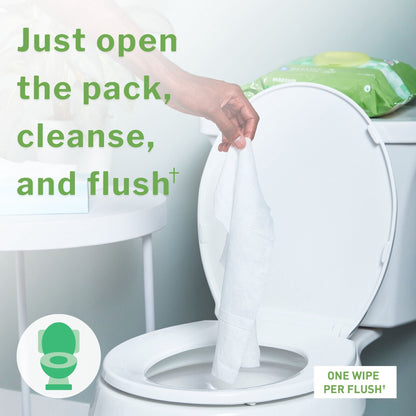 McKesson Flushable* Wet Wipes XL - Unscented, 96 Wet Wipes per Pack