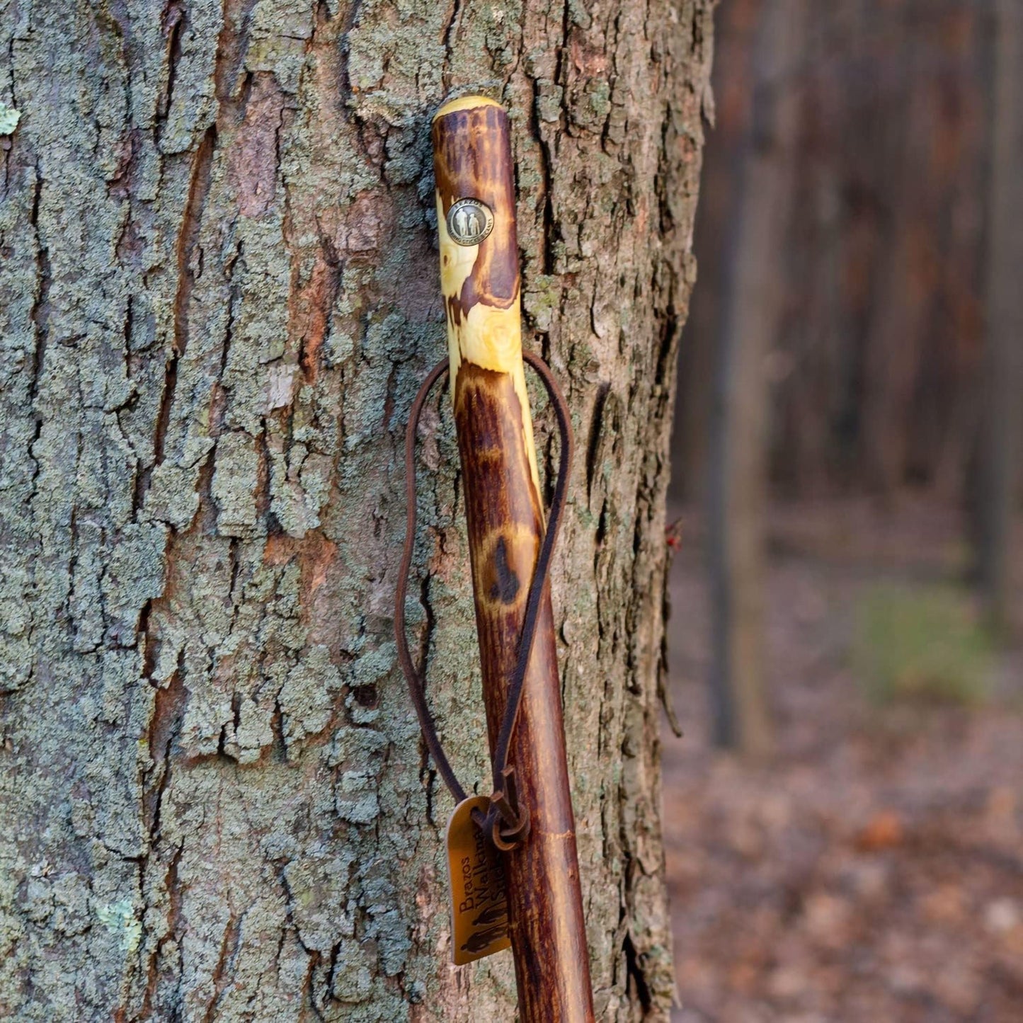Brazos™ Hawthorn Rustic Walking Stick, 58-Inch Height