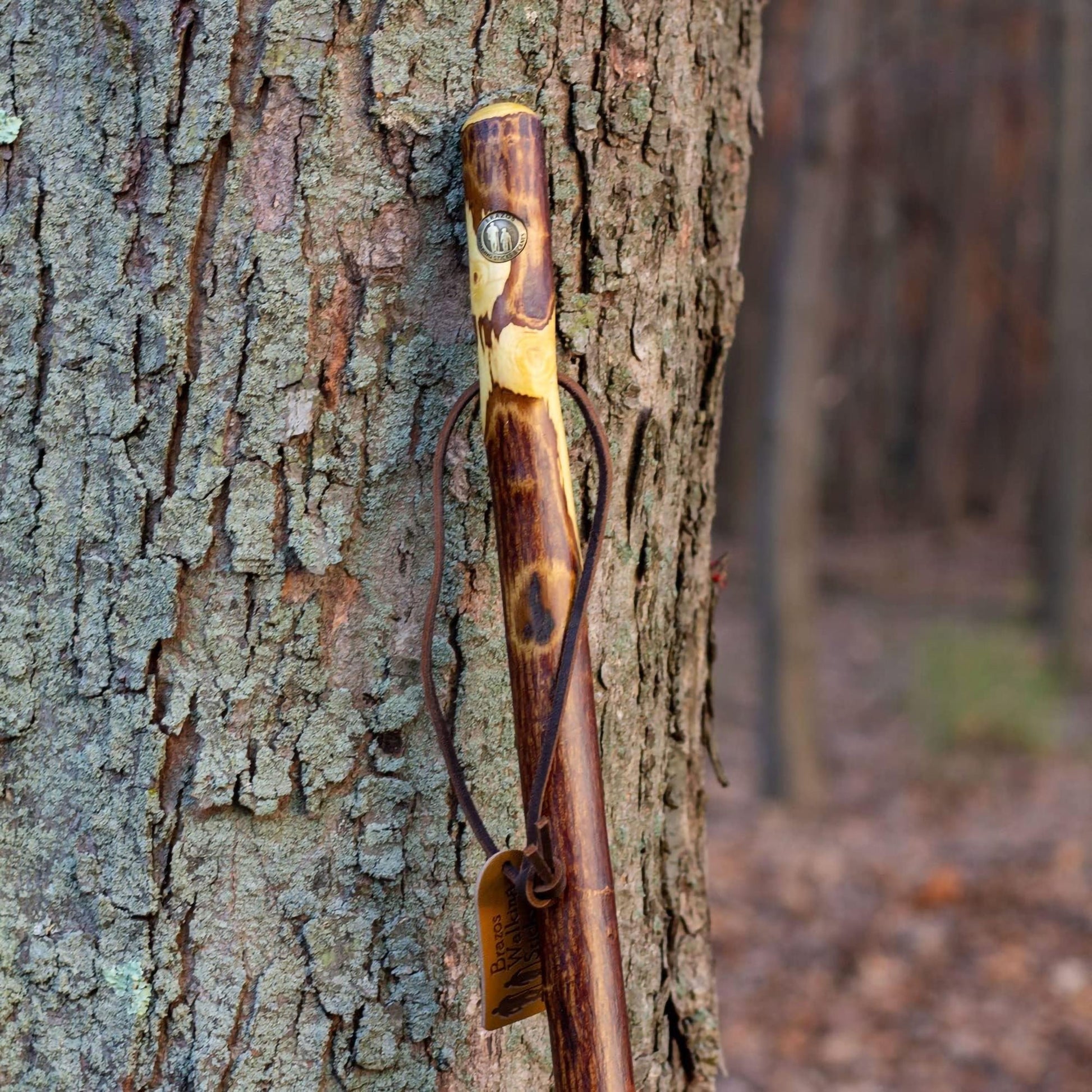 Brazos™ Hawthorn Rustic Walking Stick, 58-Inch Height