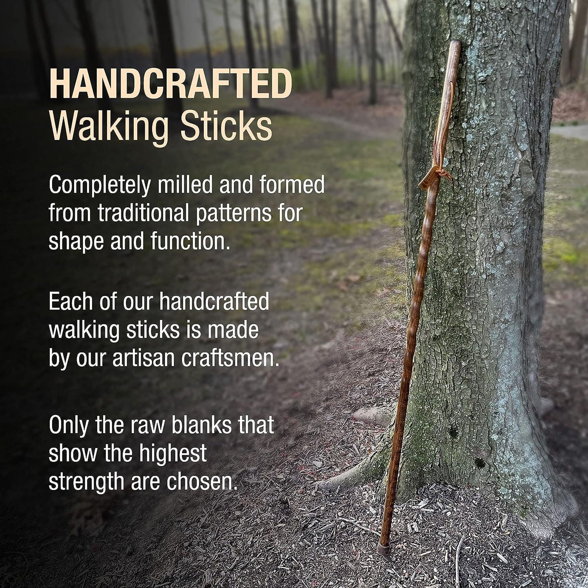 Brazos™ Twisted Oak Trekker Handcrafted Walking Stick, Red, 55-Inch