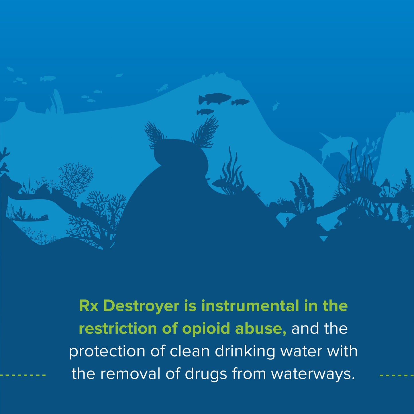 Rx Destroyer™ Drug Disposal Funnel