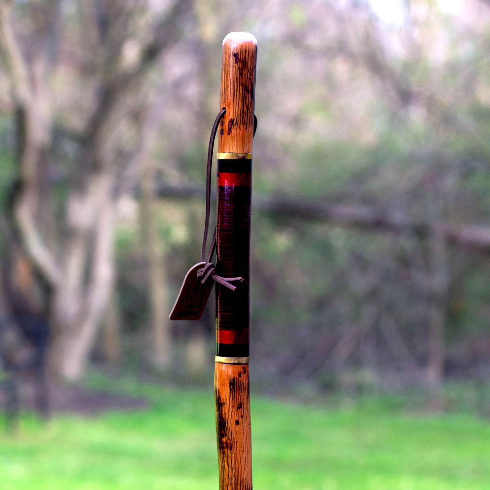 Brazos™ Exotic Leather Safari Hickory Rustic Walking Stick, 55-Inch