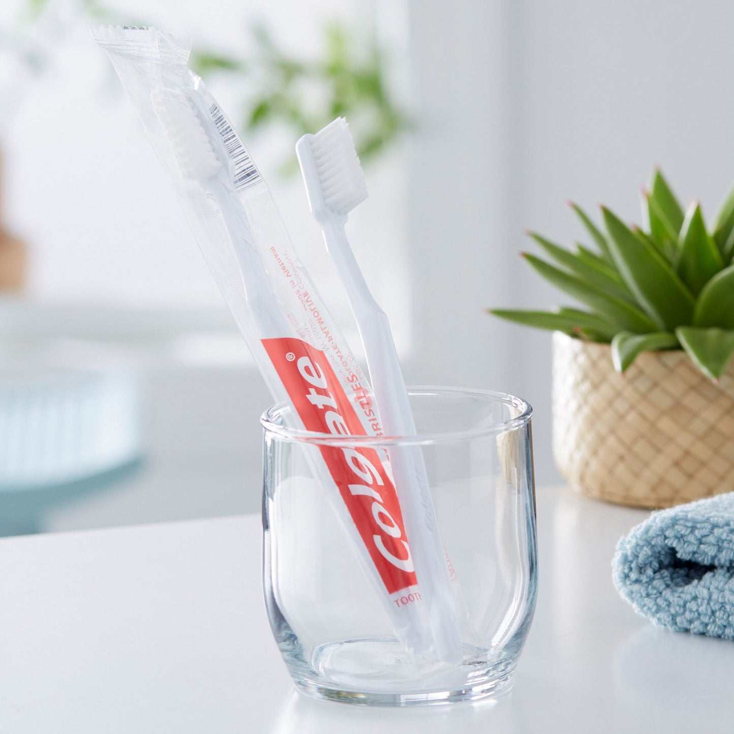 Colgate® White Toothbrush, Full Head, Soft Bristles