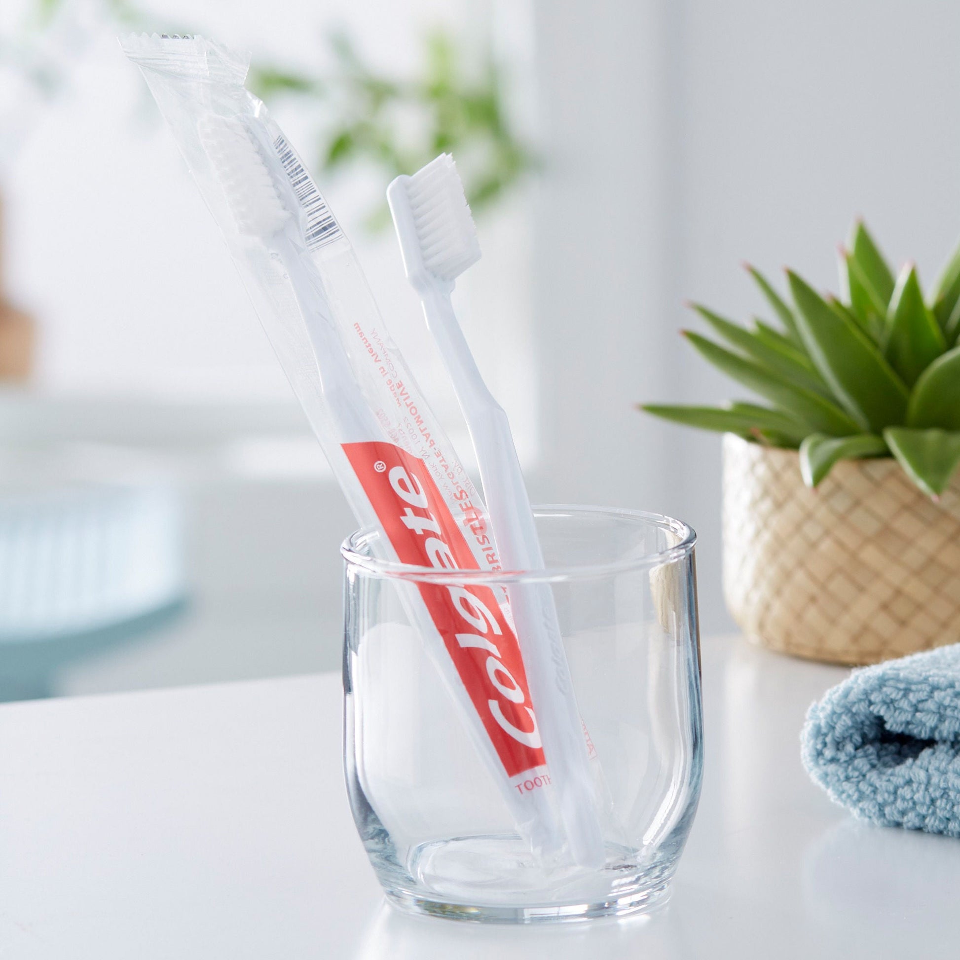 Colgate® White Toothbrush, Full Head, Soft Bristles