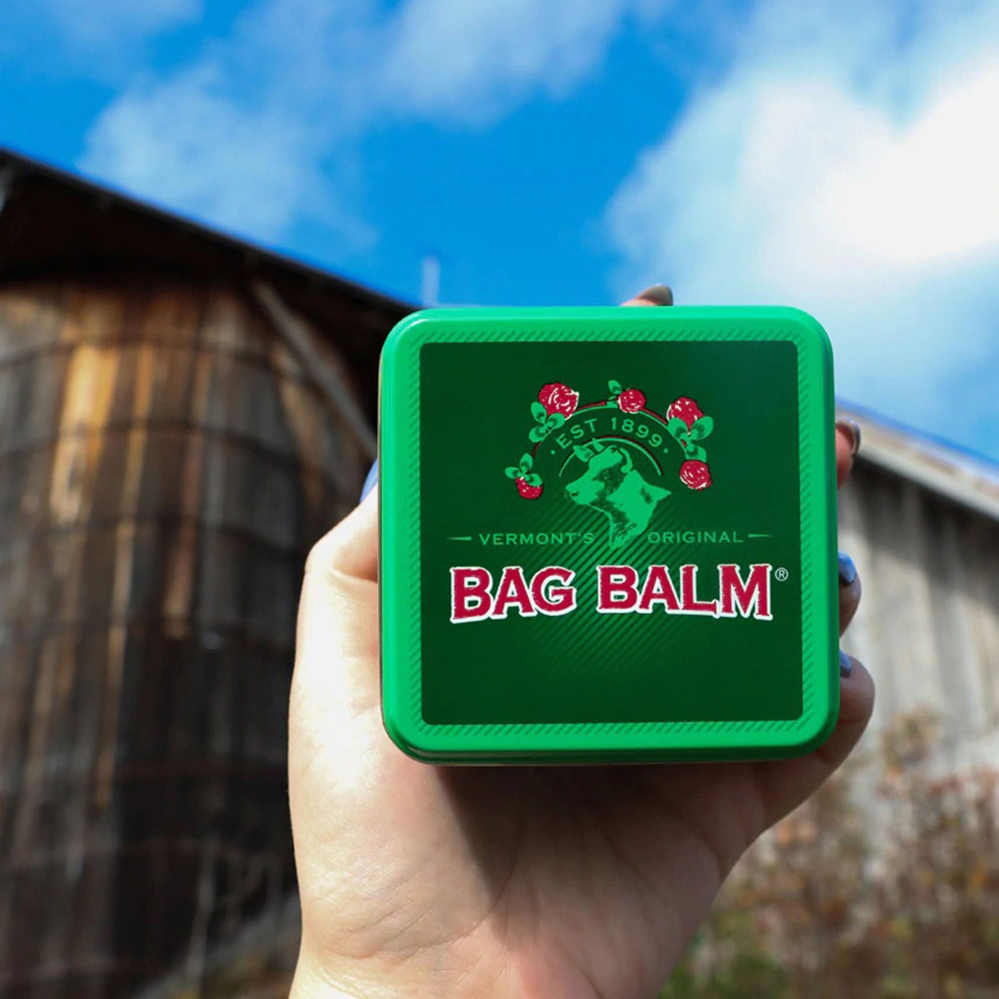 Bag Balm® Original Skin Moisturizer