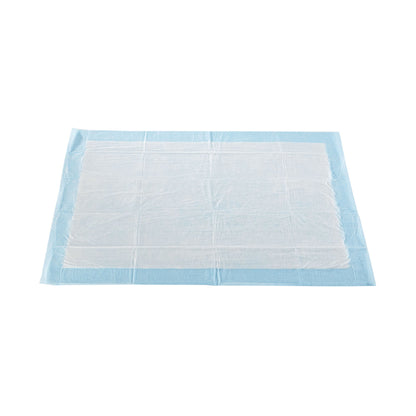 McKesson Classic Plus Light Absorbency Underpads
