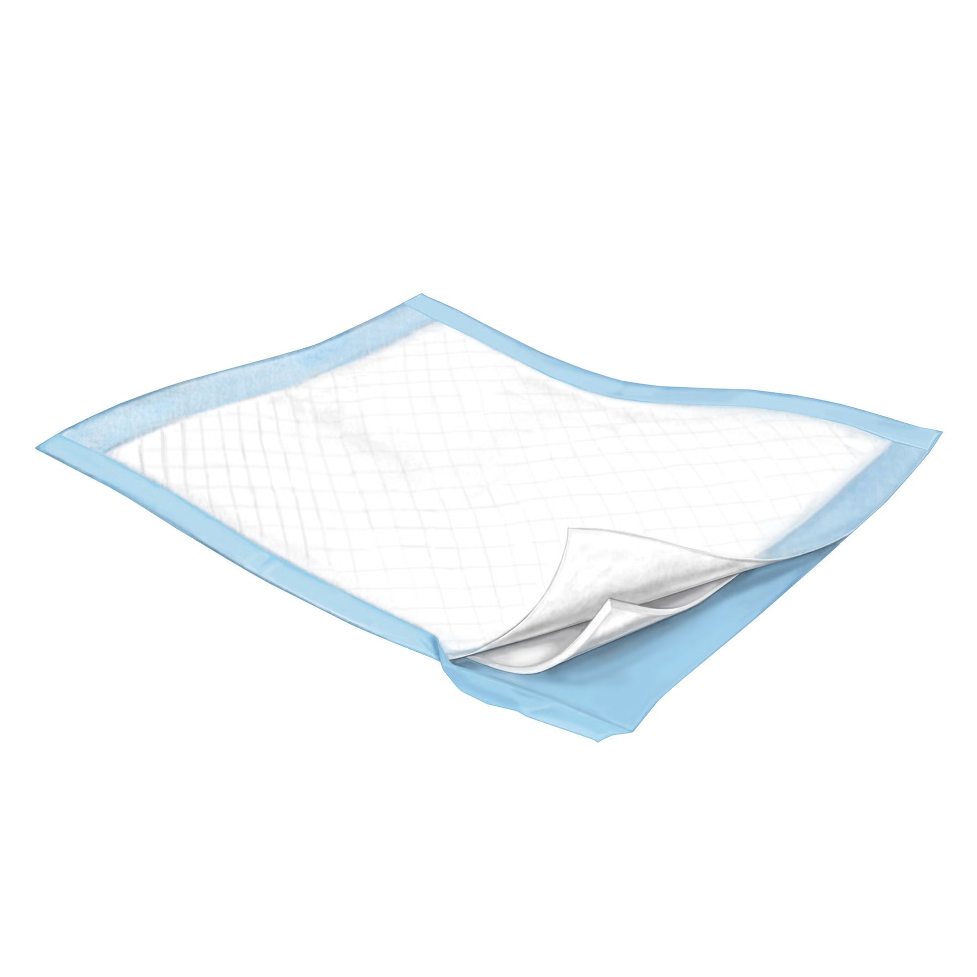 Simplicity Extra Underpad, Disposable, Moderate Absorbency, Blue