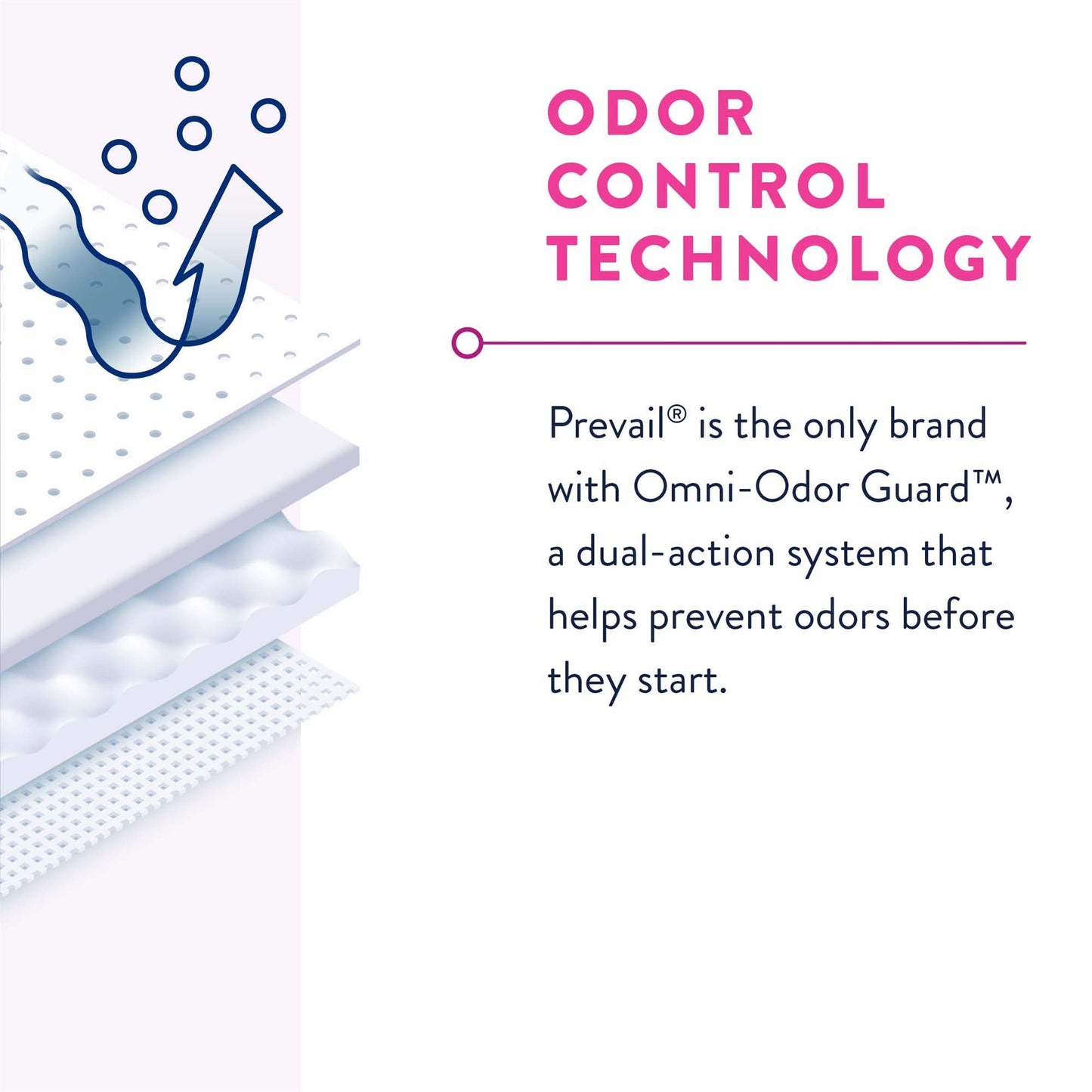 Prevail® for Women Daily Absorbent Underwear