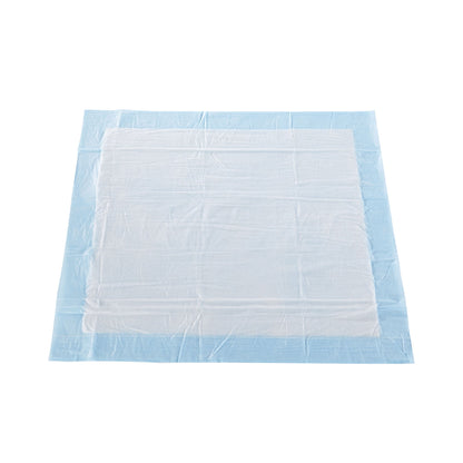 McKesson Classic Plus Light Absorbency Underpads