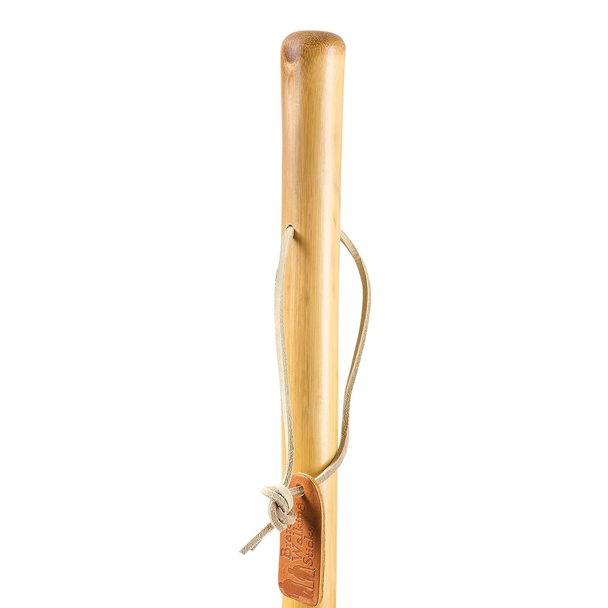 Brazos™ Iron Bamboo Rustic Walking Stick, 48 Inch Height