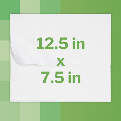 McKesson Flushable* Wet Wipes XL - Scented, 96 Wet Wipes per Pack