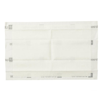 Extrasorbs AP Disposable Underpad Low Air Loss Polymer Moderate Absorbency