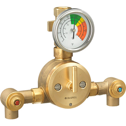 Global Industrial B3186064 Emergency Thermostatic Mixing Valve