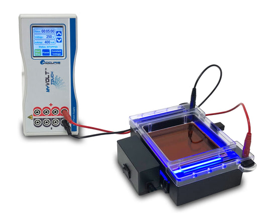 Accuris myGel InstaView Gel Tank with Blue LED Illuminator E1200