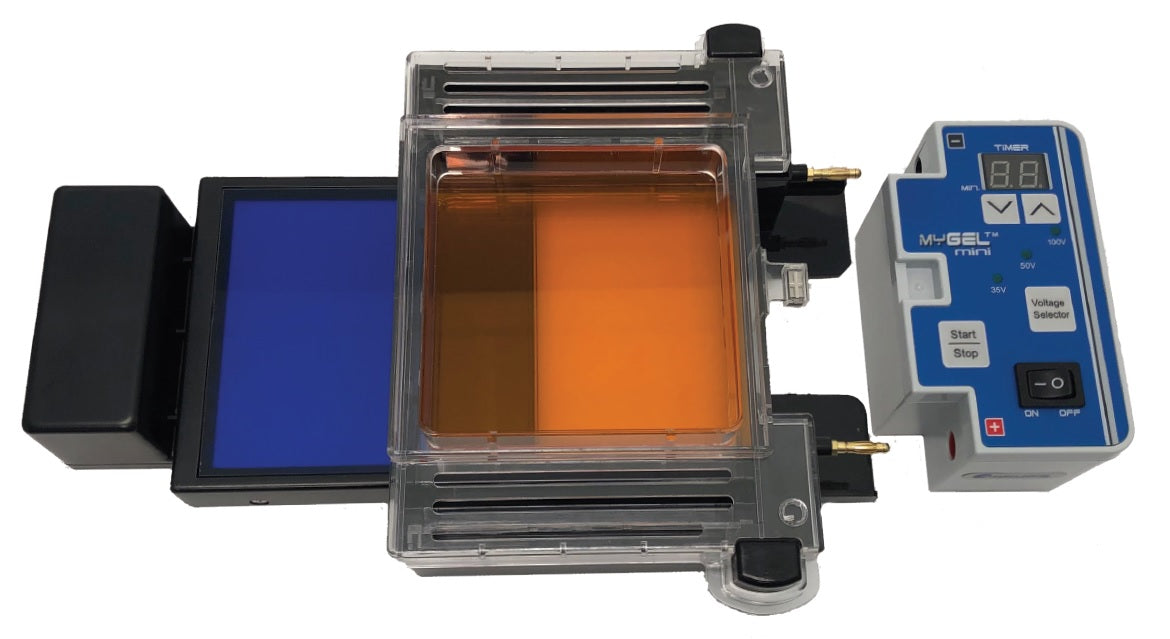 Accuris myGel InstaView Complete Electrophoresis System E1201