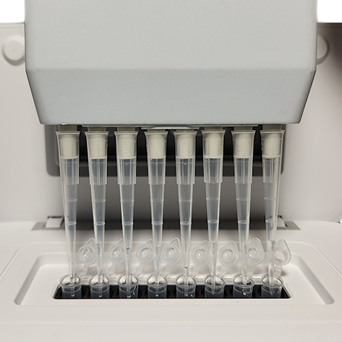 Accuris Smart-Q 800 8-Sample Fluorometer F1008