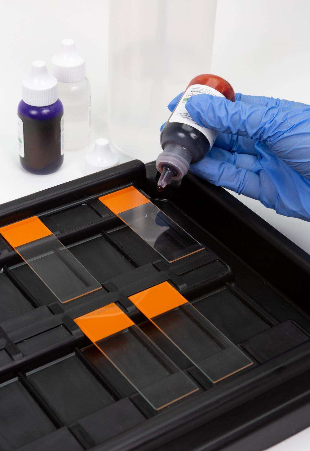 18-Place Slide Staining Tray - Heathrow Scientific