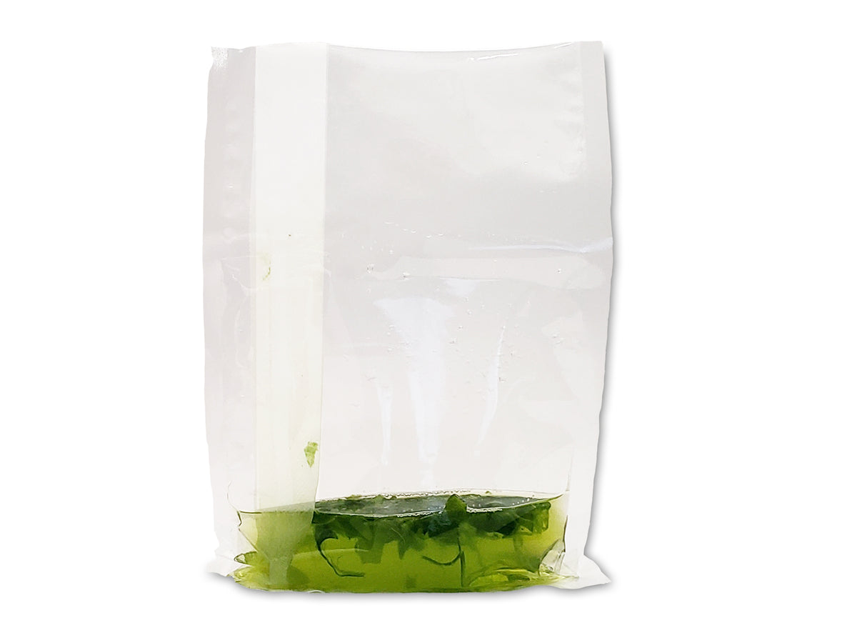 Benchmark Scientific Blender Bag with Side Nylon Filter, 400 mL × 70 µm IPD4400-B400F1