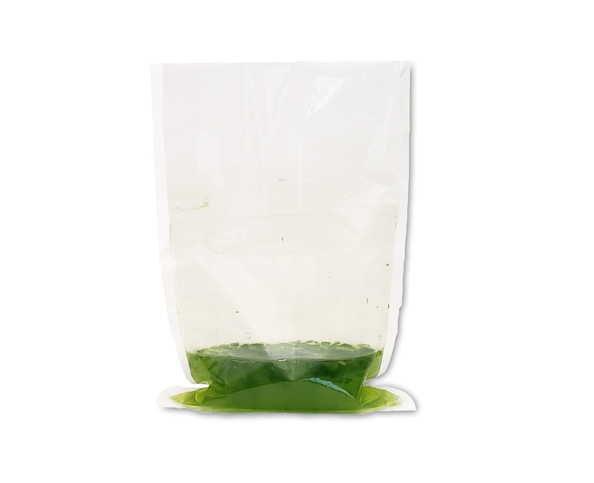 Benchmark Scientific Blender Bag with Full Nylon Filter, 400 mL × 70 µm IPD4400-B400F2