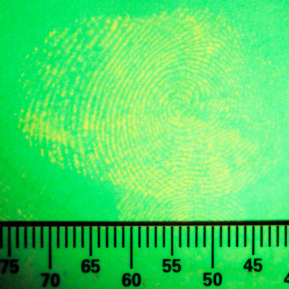 Pioneer Forensics 1,2-Indandione Powder, 99% Purity (PF15095) — 1g and 5g