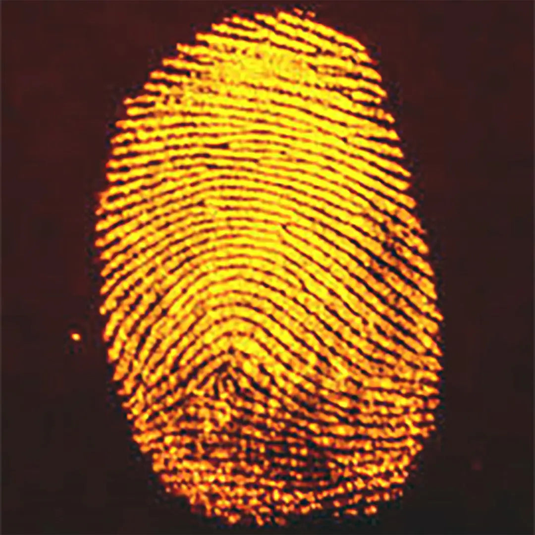 1,2-Indandione Forensic Reagent HFE-7100 Formula PF30096 | Latent Fingerprint Solution - LabSupplies.com