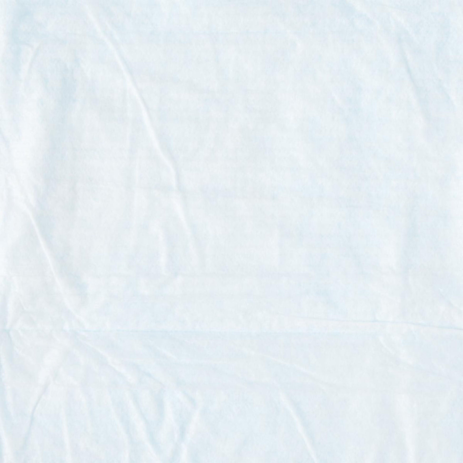 Protection Plus Disposable Underpad Fluff Light Absorbency