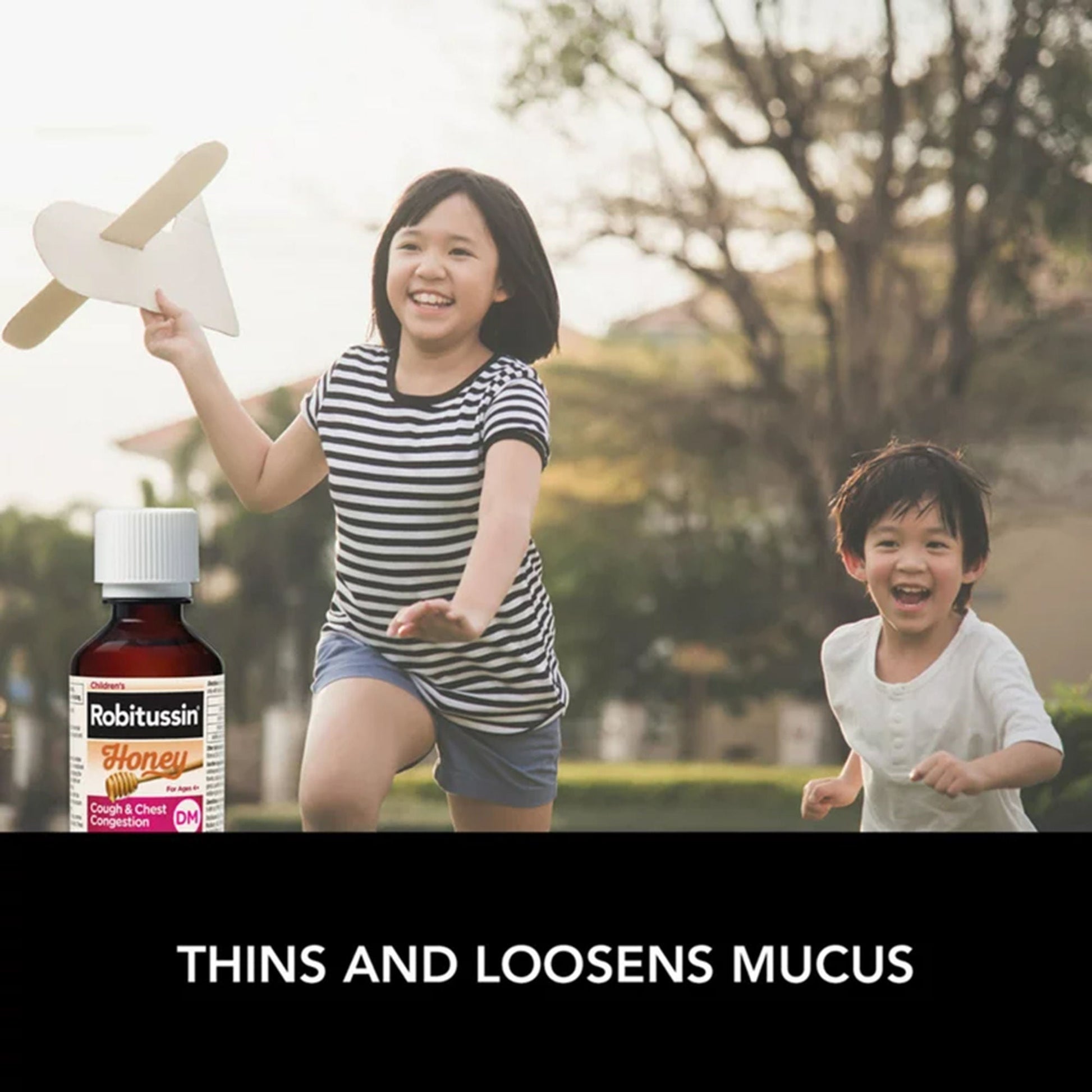 Robitussin Children's Honey Cough & Chest Congestion DM Liquid