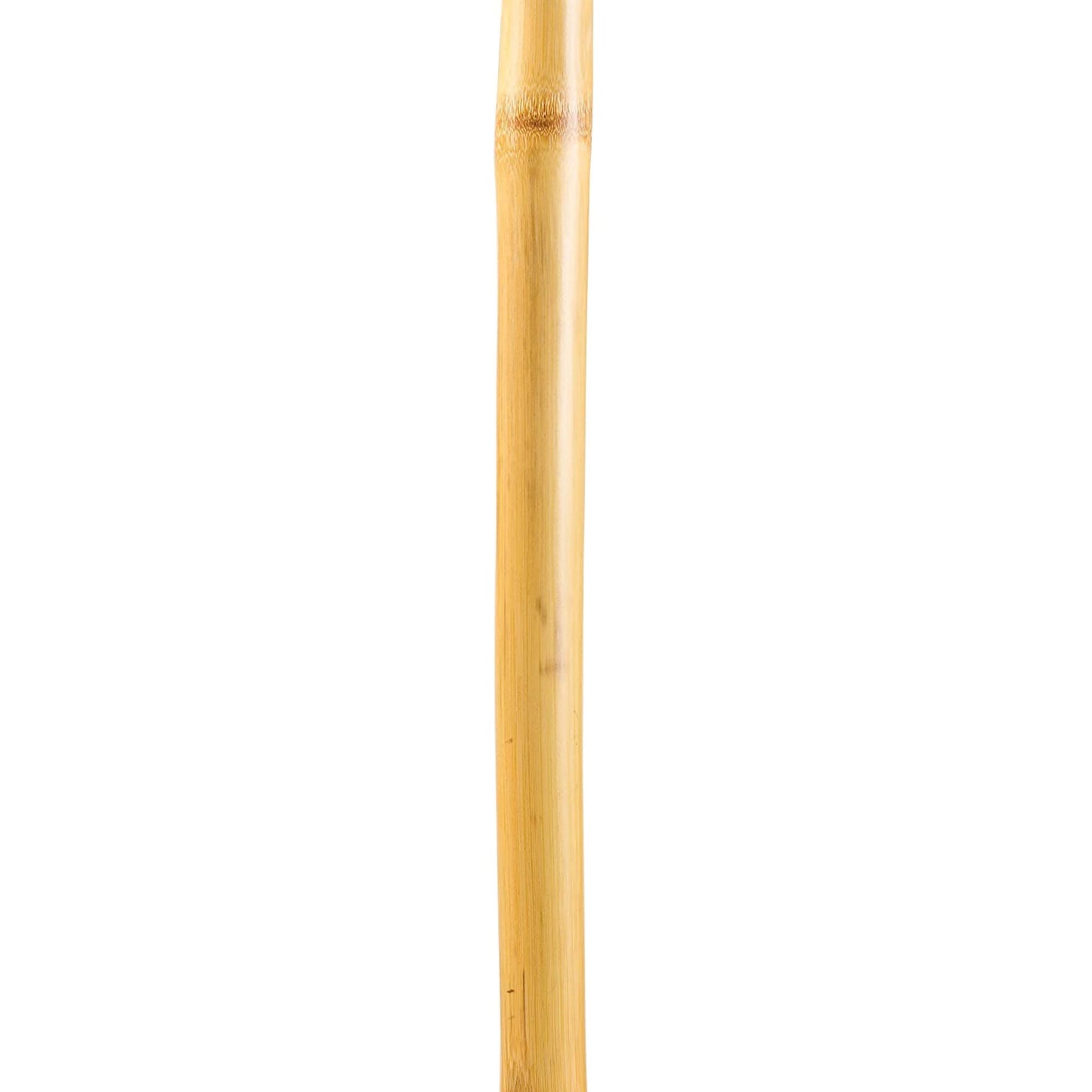 Brazos™ Iron Bamboo Rustic Walking Stick, 48 Inch Height