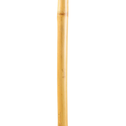 Brazos™ Iron Bamboo Rustic Walking Stick, 48 Inch Height
