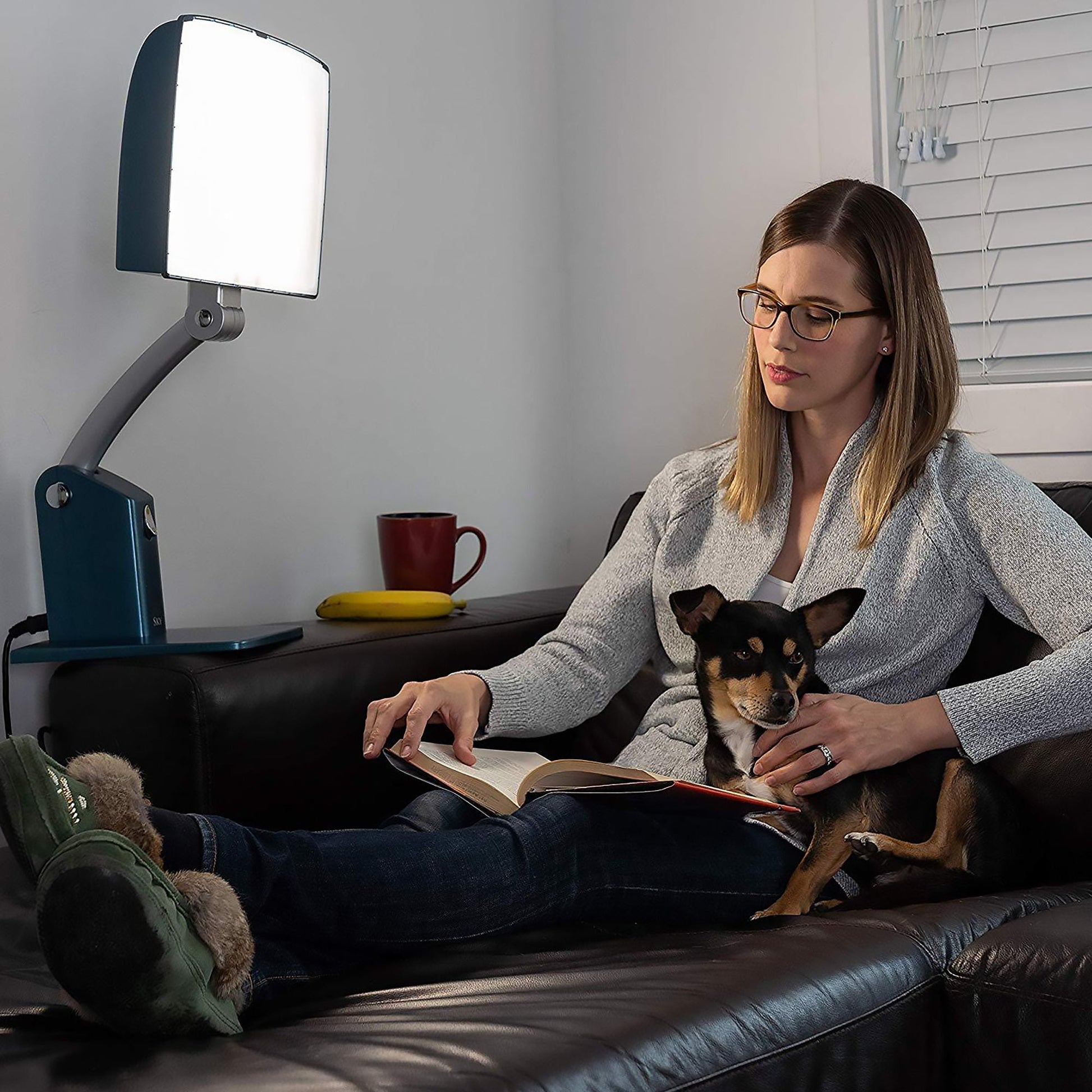 Carex® Day-Light Sky Light Therapy Lamp