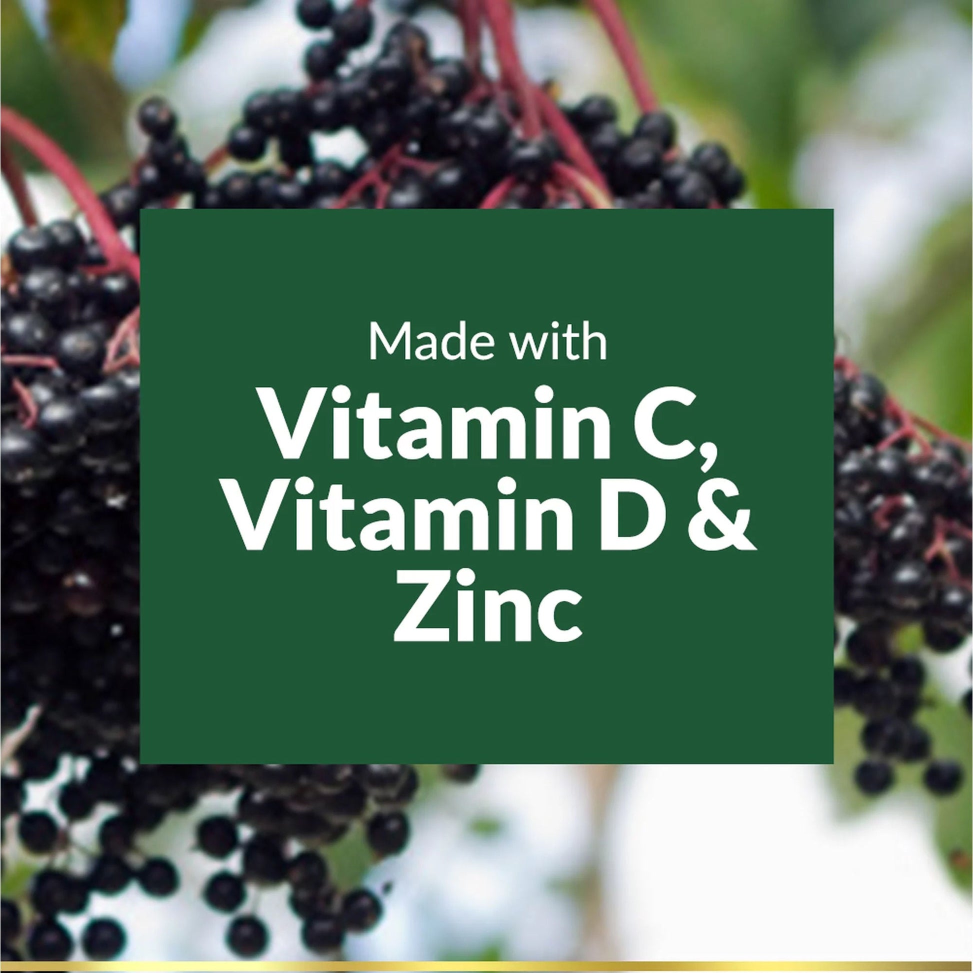 Nature's Bounty Elderberry Gummies