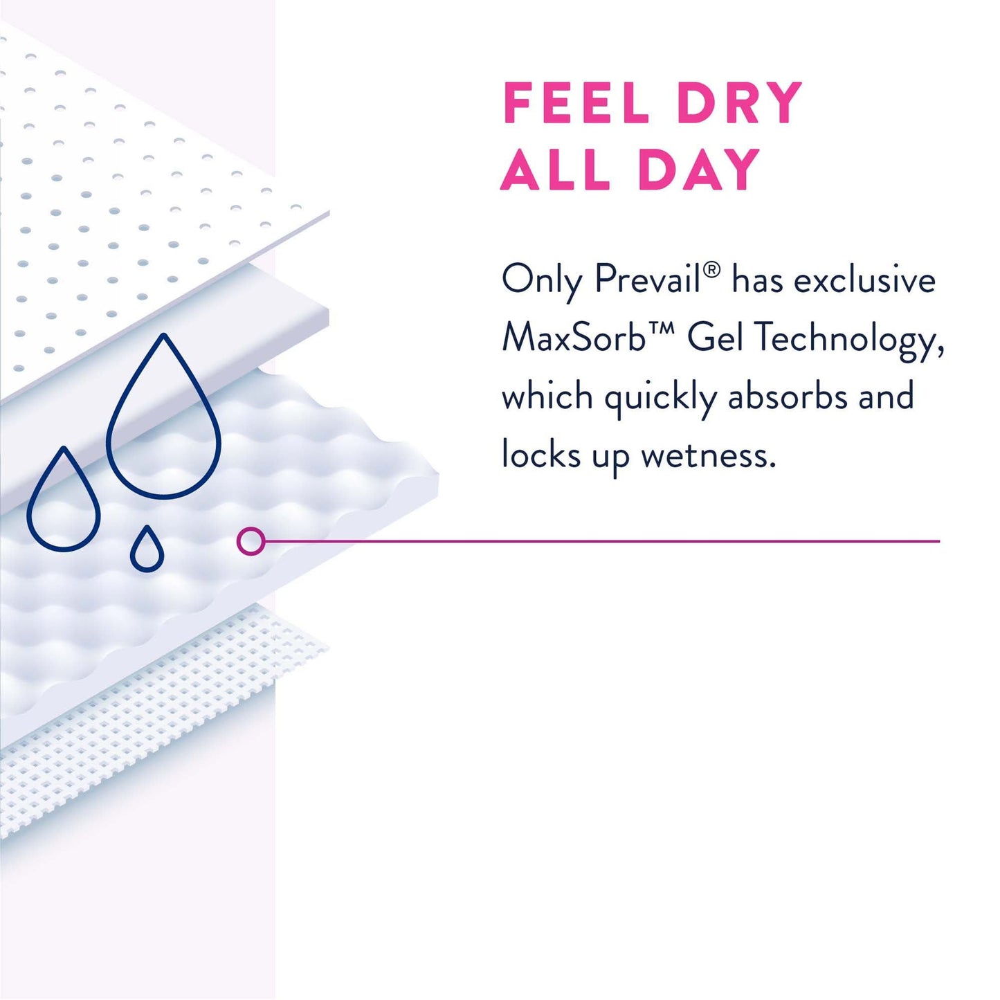 Prevail® Daily Absorbent Underwear, Lavender