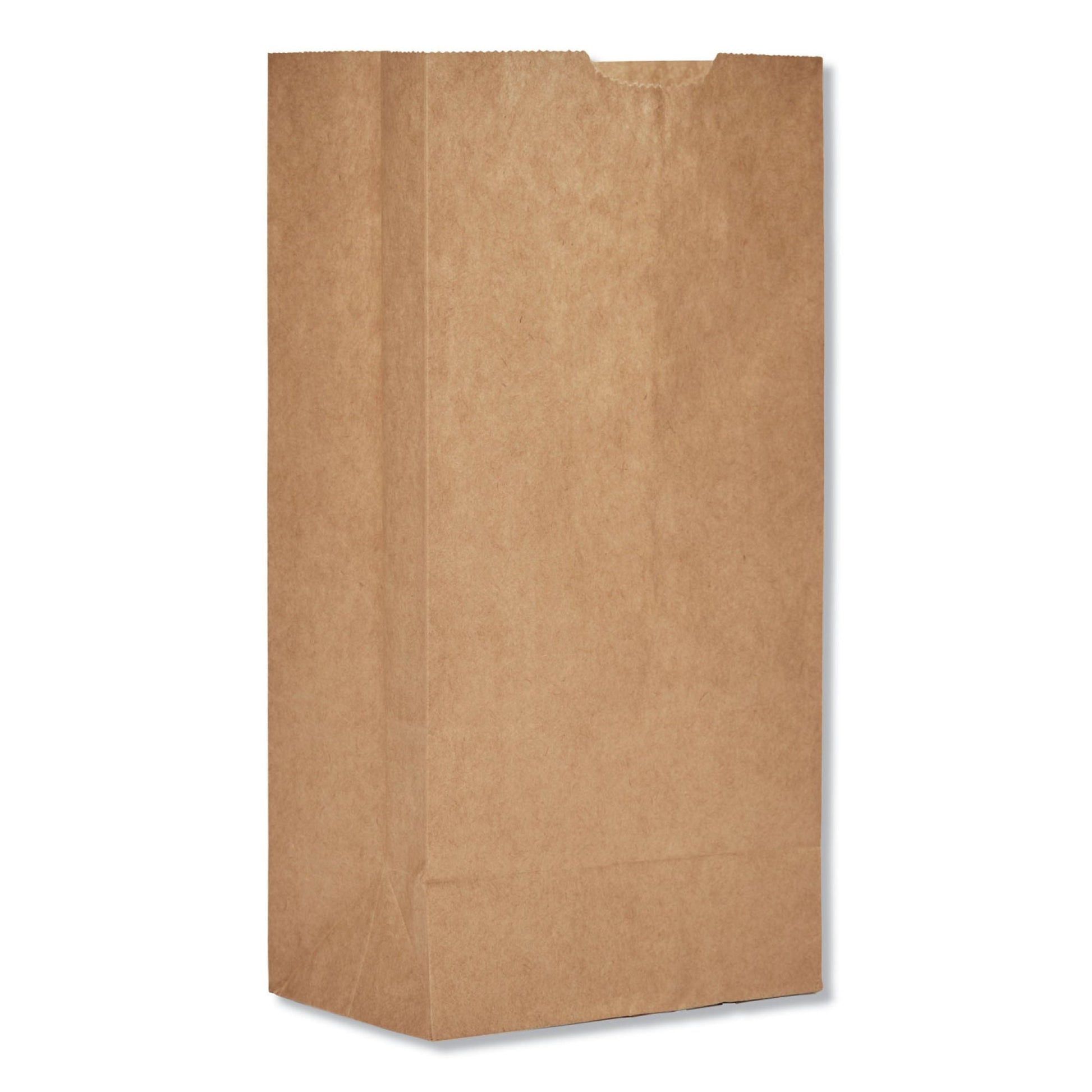 Brown Kraft Paper Bag, x 9.75 Inch